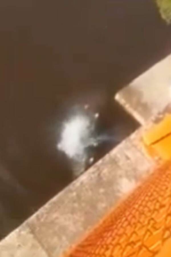 Moment Brave Cop Jumps 130ft Off Bridge To Save Drowning Woman